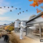 철새 남하에 AI 방역 강화…연휴 부산은 관광·소비 활기