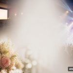 ‘암살자(들)’ 300만 돌파…결혼·복귀 공연으로 이어진 연예계 소식